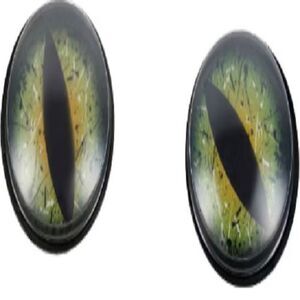 Halloween Large Reptile Eyeballs Big Dinosaur Shiny Eyes Creature Monster 2pc 4"
